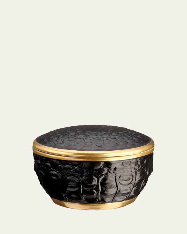 Crocodile Round Box